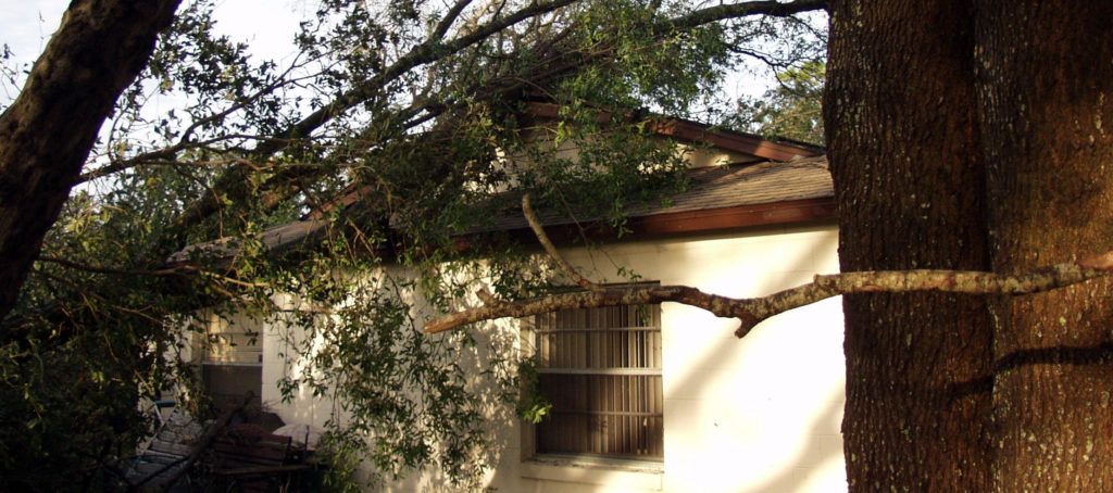 storm cleanup