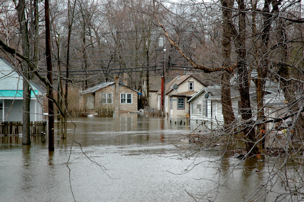 basement flood cleanup