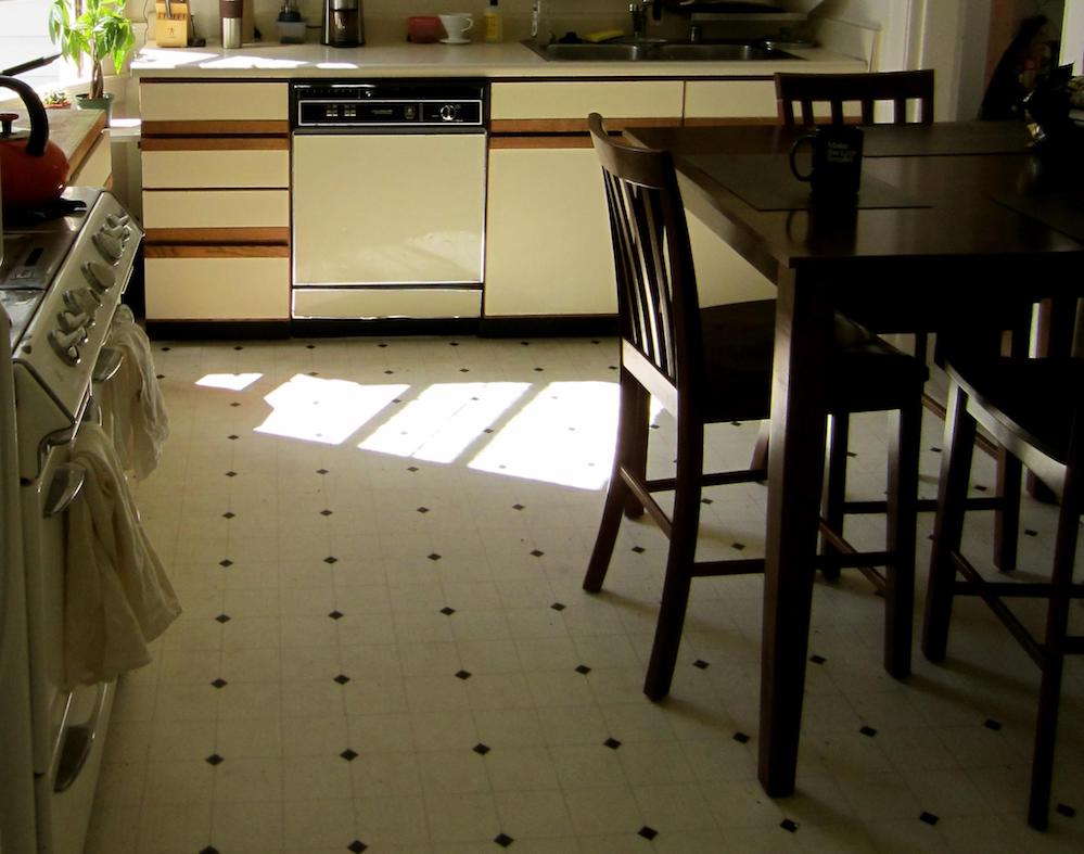 Quick Dishwasher Removal for an Unplanned Upgrade Jiffy Junk