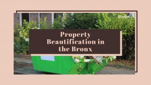 Property Beautification in the Bronx