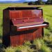 piano removal