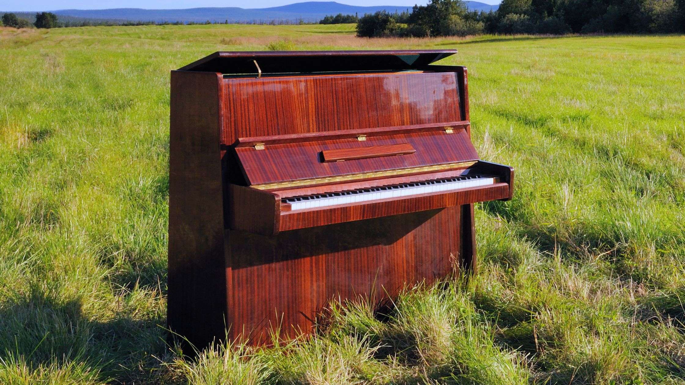 Stress-Free Piano Removal: Finally!