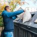 cheap trash removal