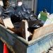 rent a dumpster nyc