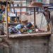 eco friendly junk removal