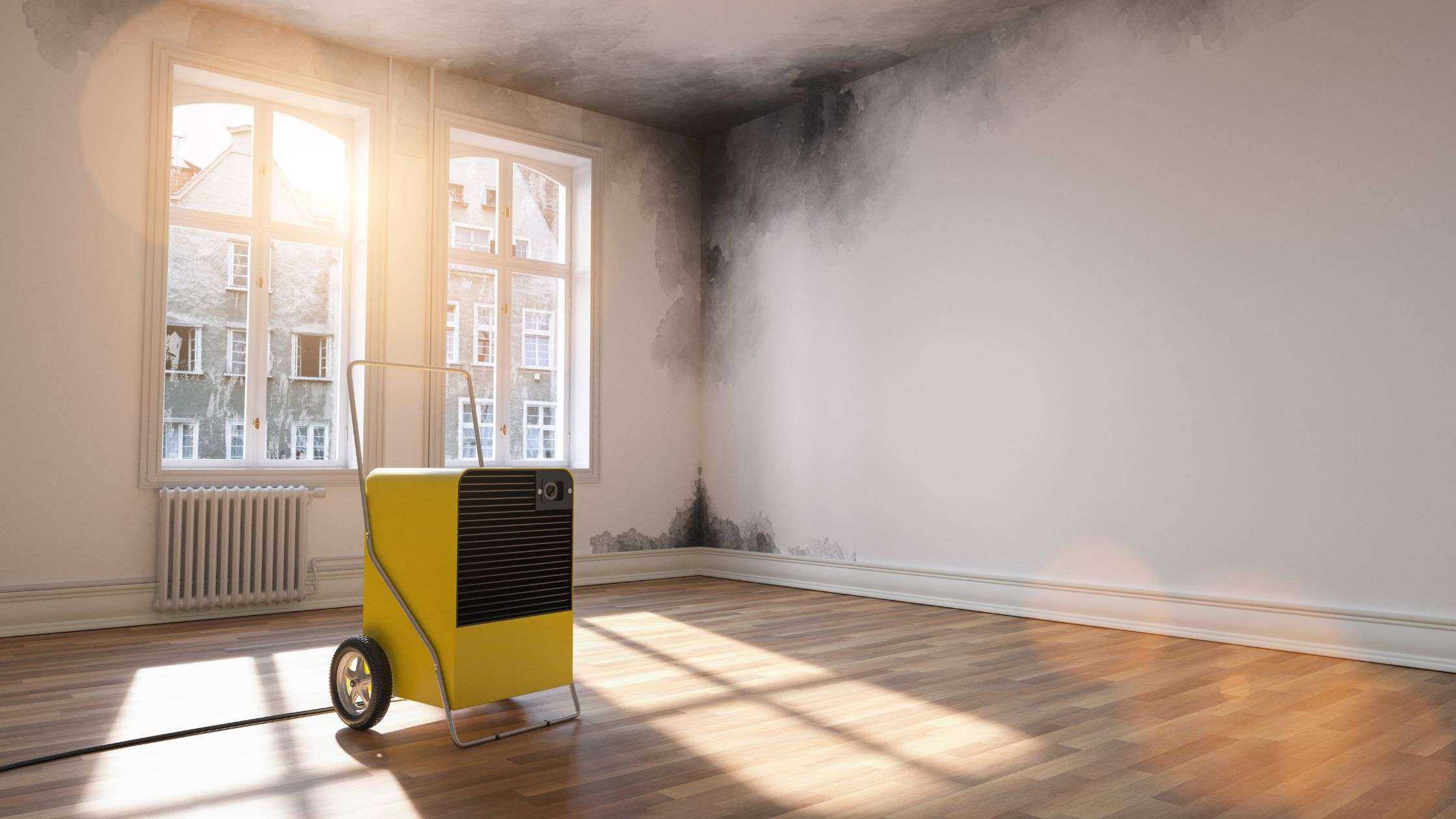 Dehumidifier Disposal for the Conscientious Mind: How to Dispose of a Dehumidifier Safely