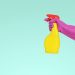 not the worst cleaner checklist