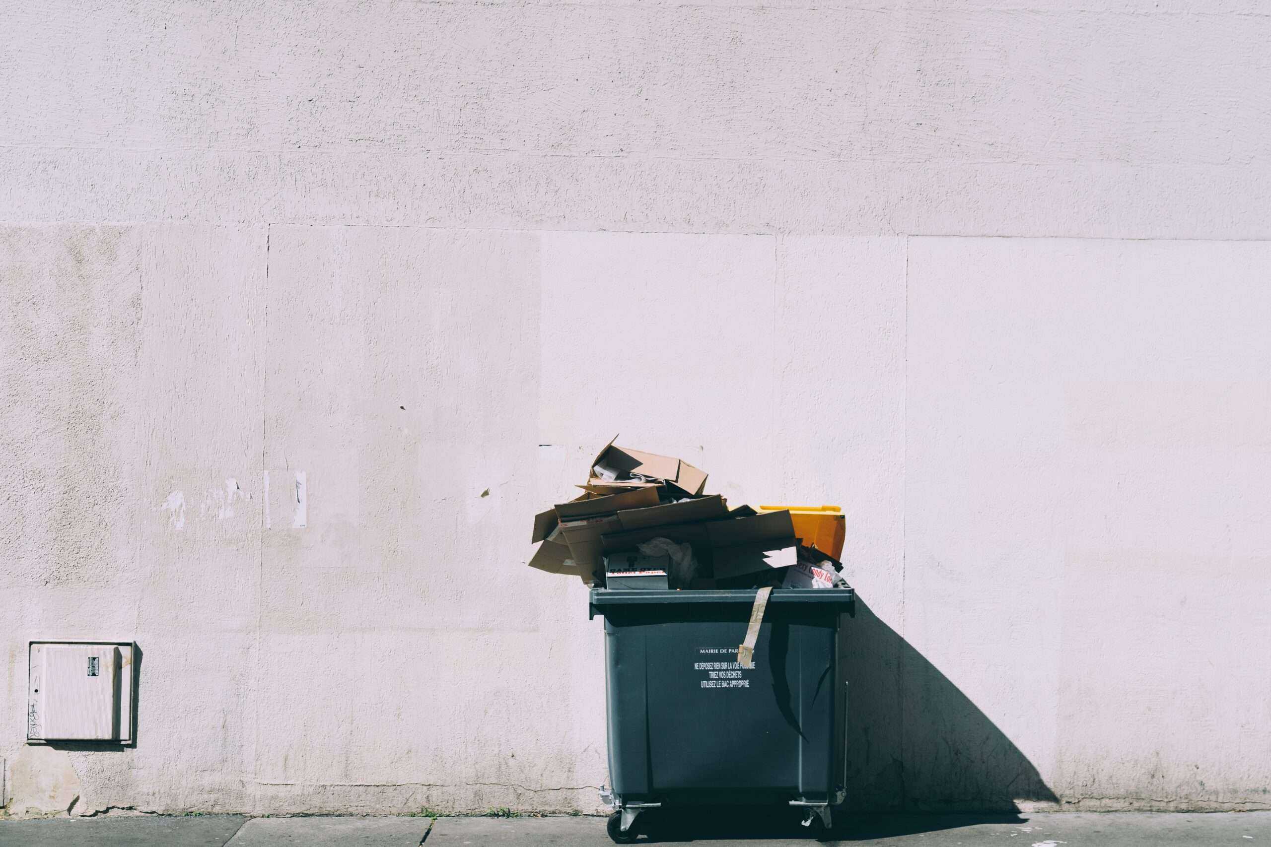 Anatomy Of A Garbage Man