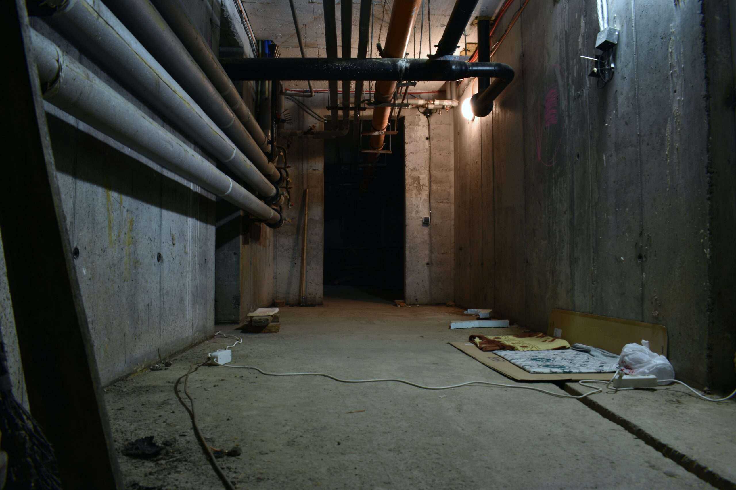 Rid Your Flooded Basement of Damaged Goods