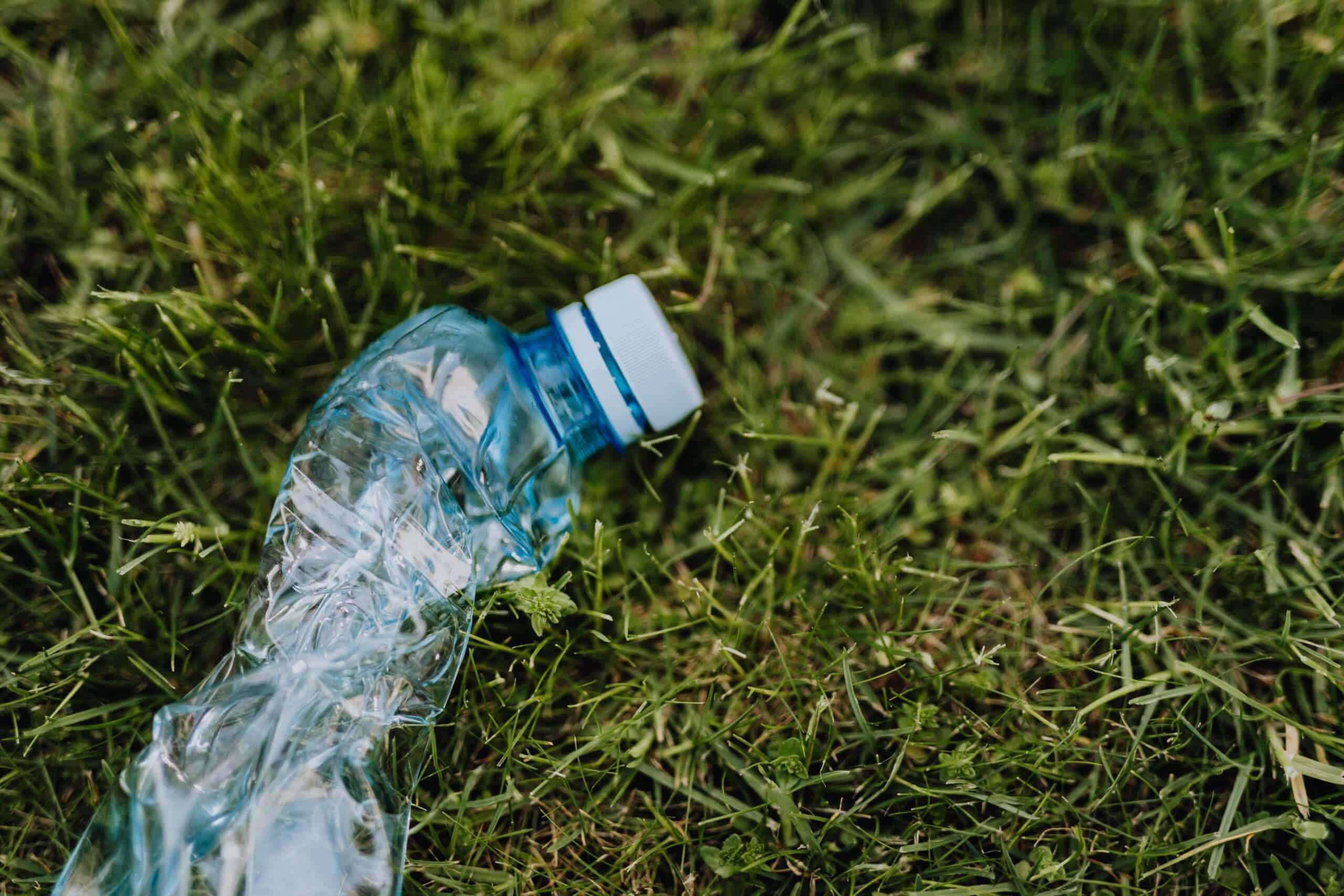 Lawn and Garden Junk Removal in Broward County, Florida