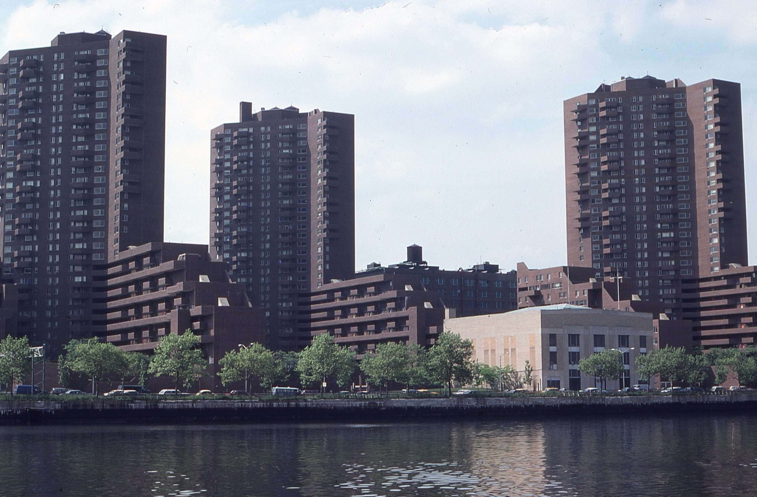 What You Might Find in the Garbage Dump of Bronx, NY