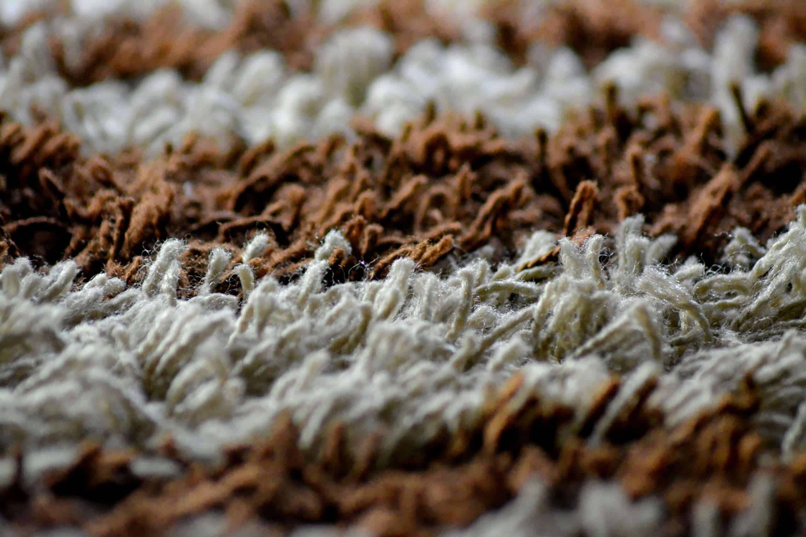 How to Hire a Carpet Removal Company