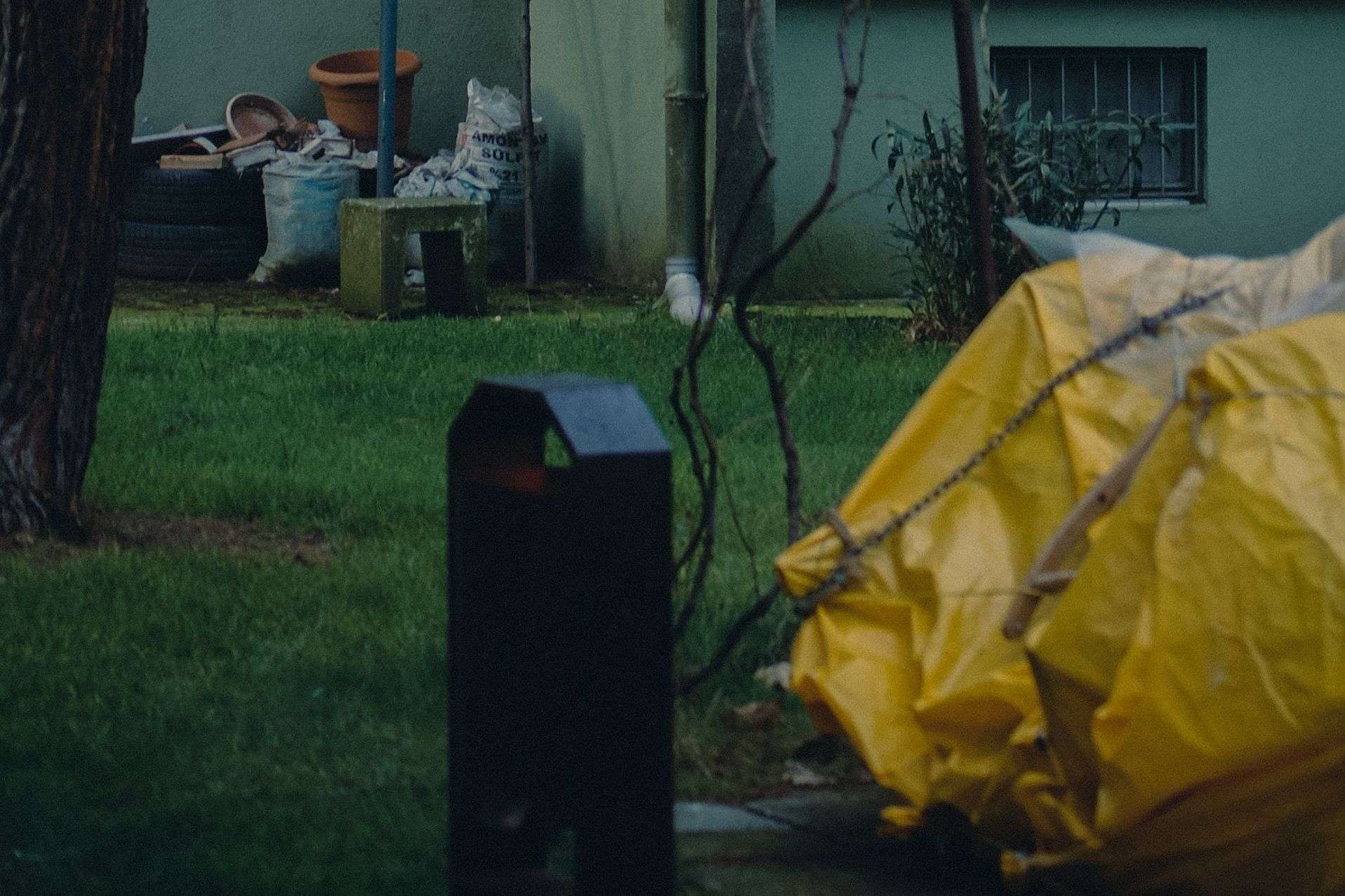 Time to Clean Up Your Yard