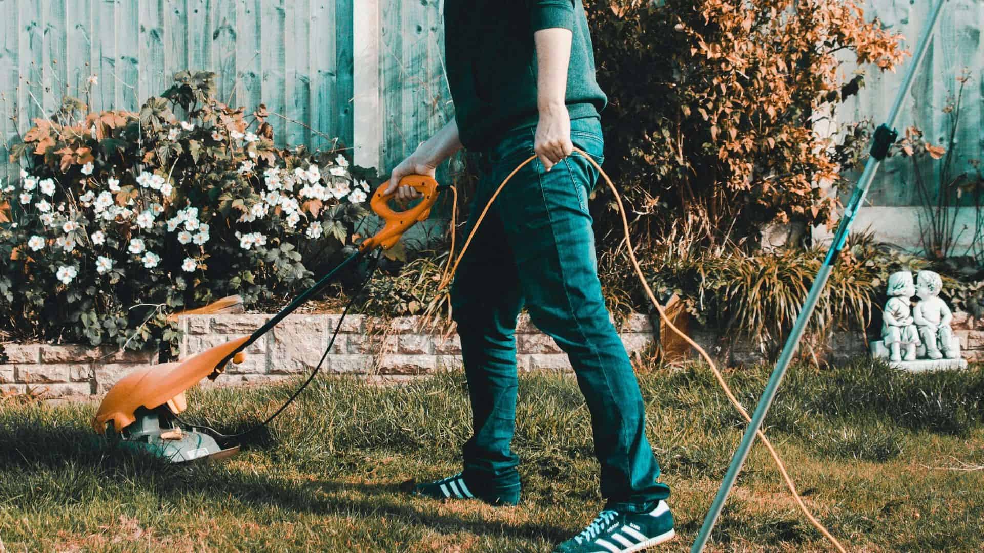 Time to Clean Up Your Yard?