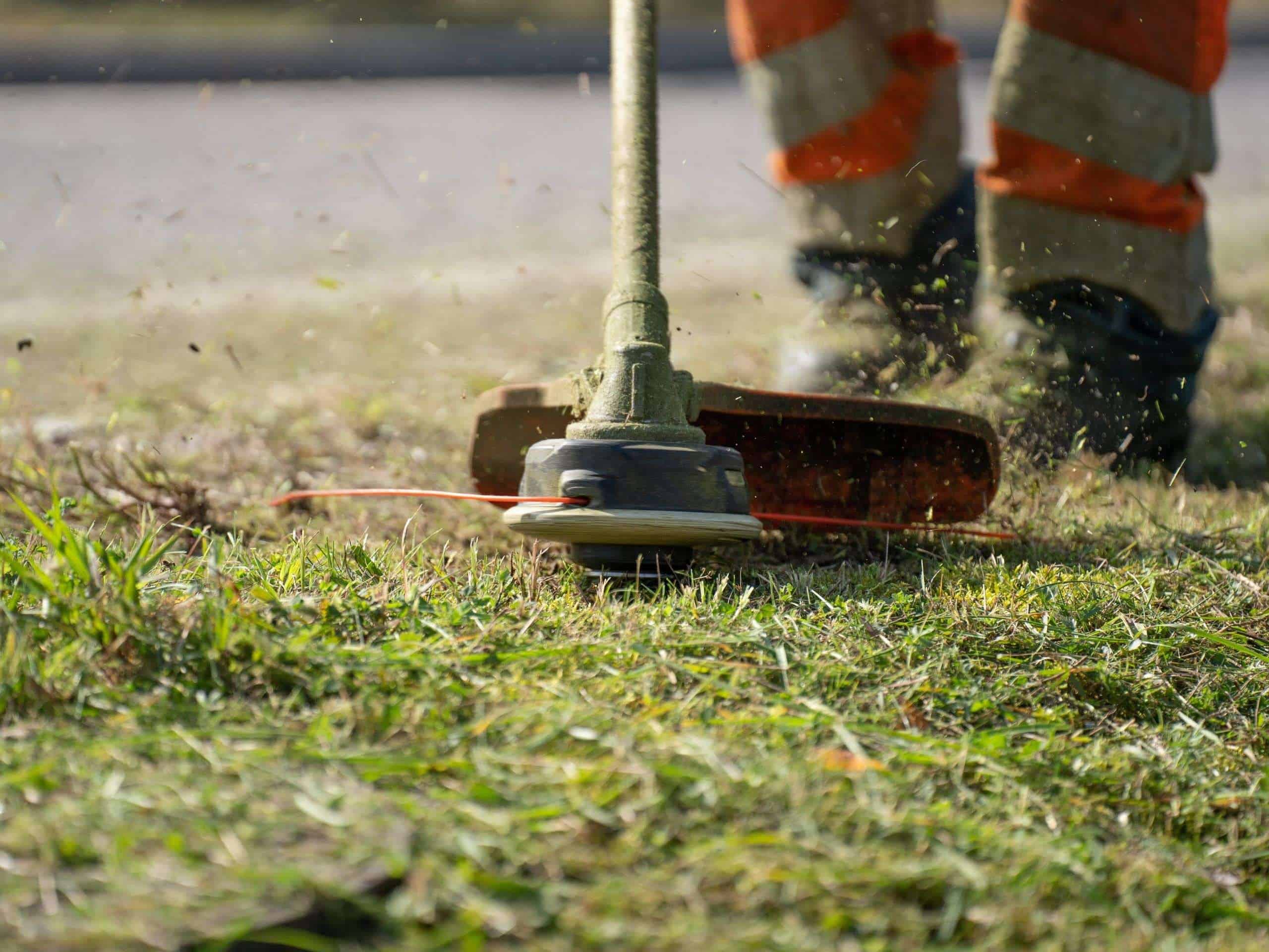 Time to Clean Up Your Yard