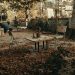 how junk removal services work