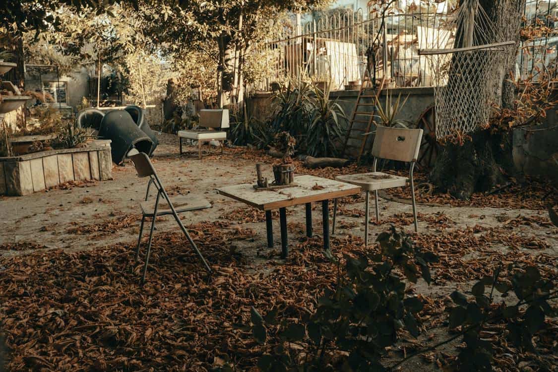 How Do Junk Removal Services Work?