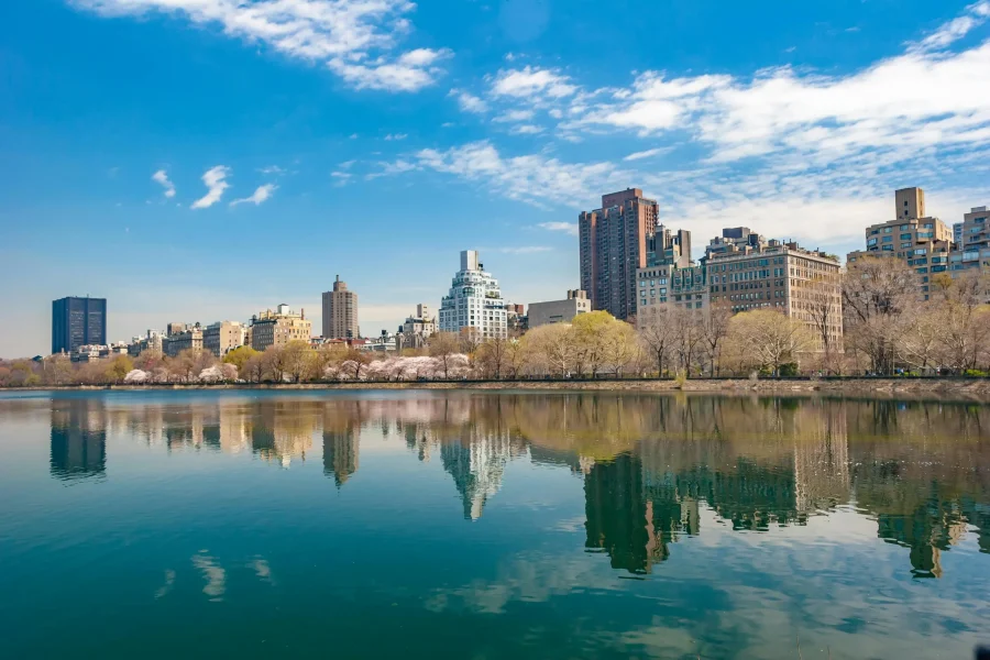 How Much Does Junk Removal Cost in New Jersey?