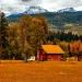 junk removal cost in Colorado