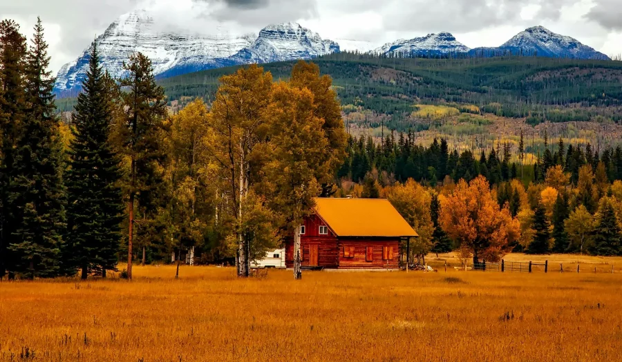 How Much Does Junk Removal Cost in Colorado?