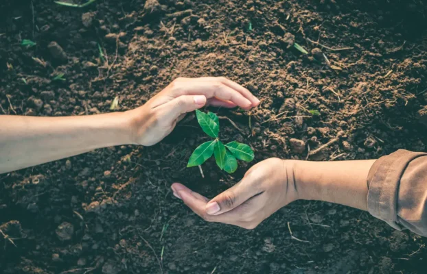 Jiffy Junk Celebrates Climate Week 2024 with Tree-Planting Event