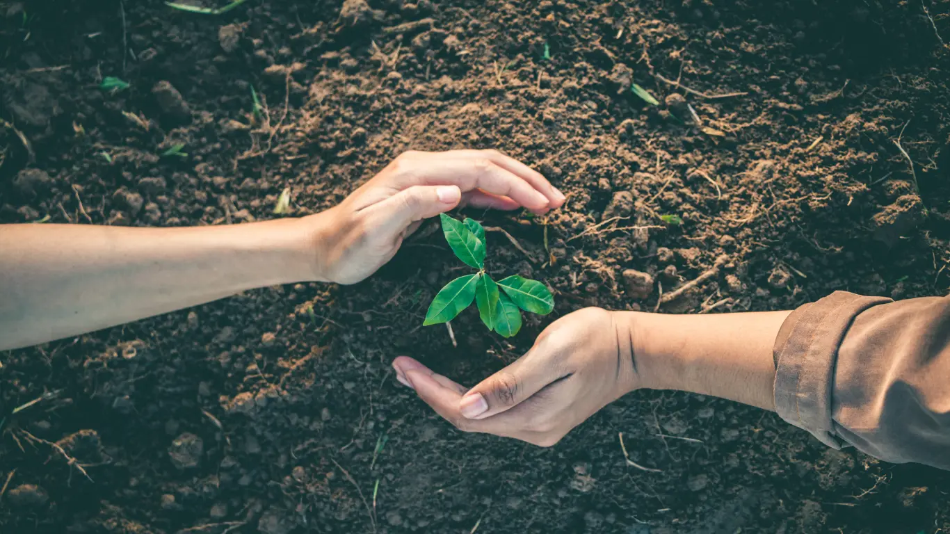 Jiffy Junk Celebrates Climate Week 2024 with Tree-Planting Event