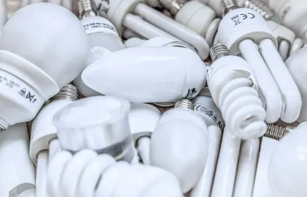 Illuminating the Path: How to Dispose of Light Bulbs Responsibly