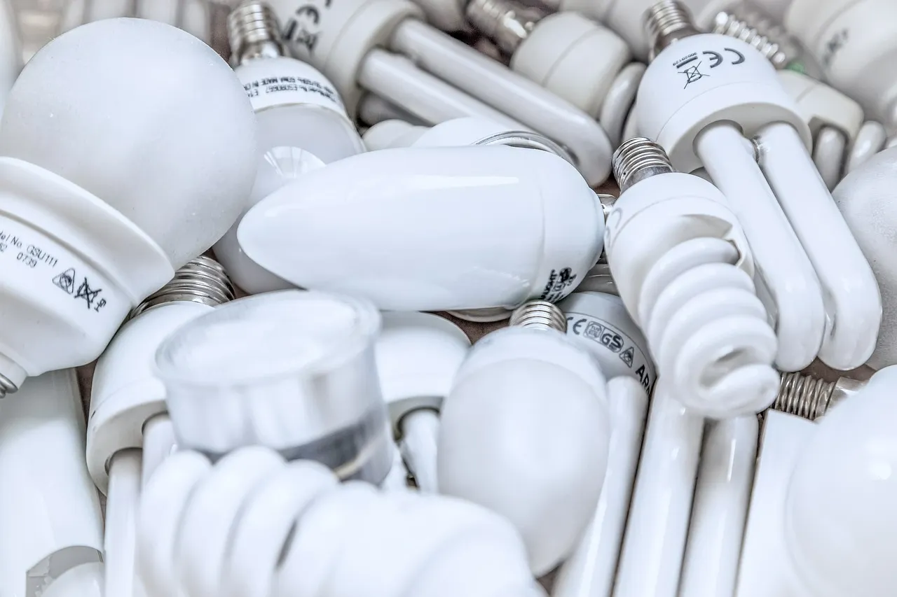 Illuminating the Path: How to Dispose of Light Bulbs Responsibly
