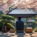 moving to japan from us