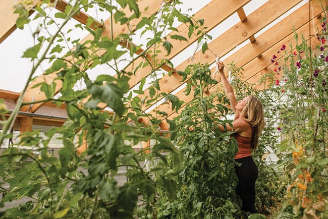 The Permaculture greenhouse - Greenhouse CanadaGreenhouse Canada
