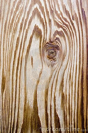 Cedar wood grain stock photo