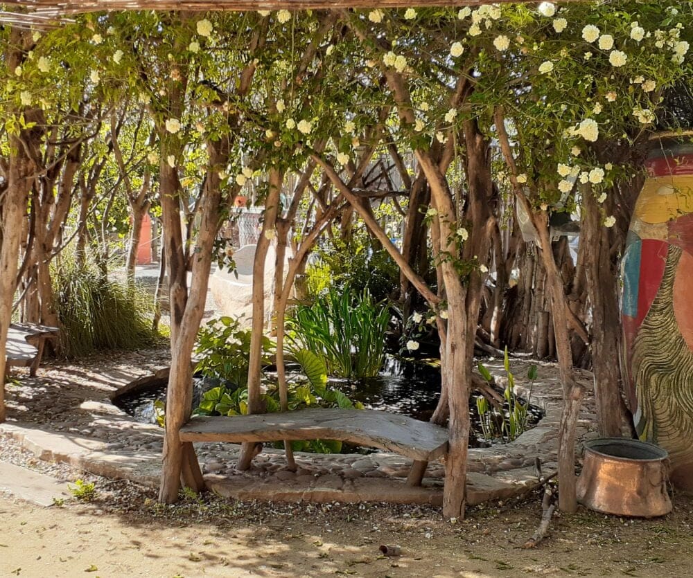 Pacific Horticulture | Designing for Thermal Comfort and Cooling