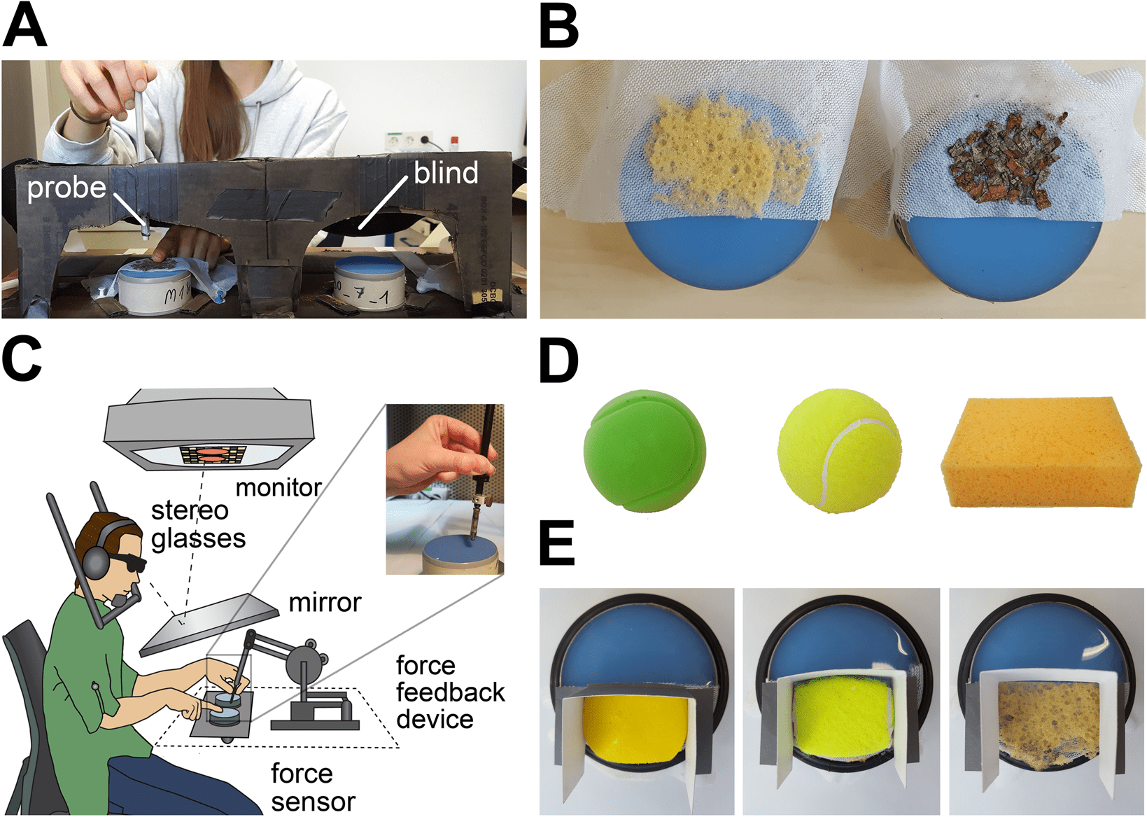 Memory influences haptic perception of softness | Scientific Reports