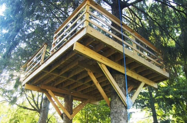 Safe Tree House Designs