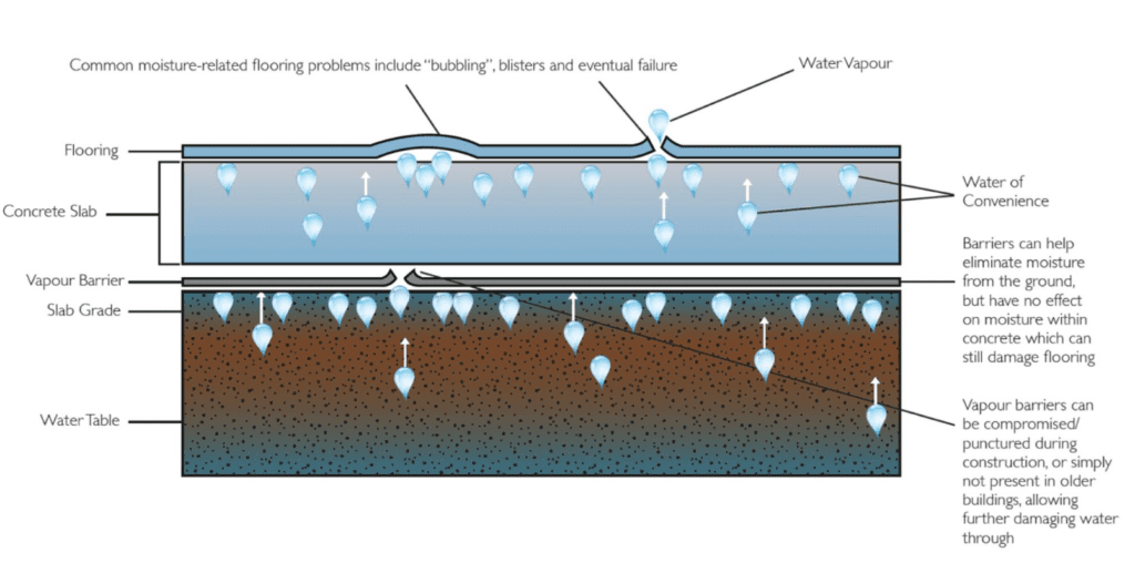 Moisture Vapor in Concrete: What is it and How to Deal with it ...