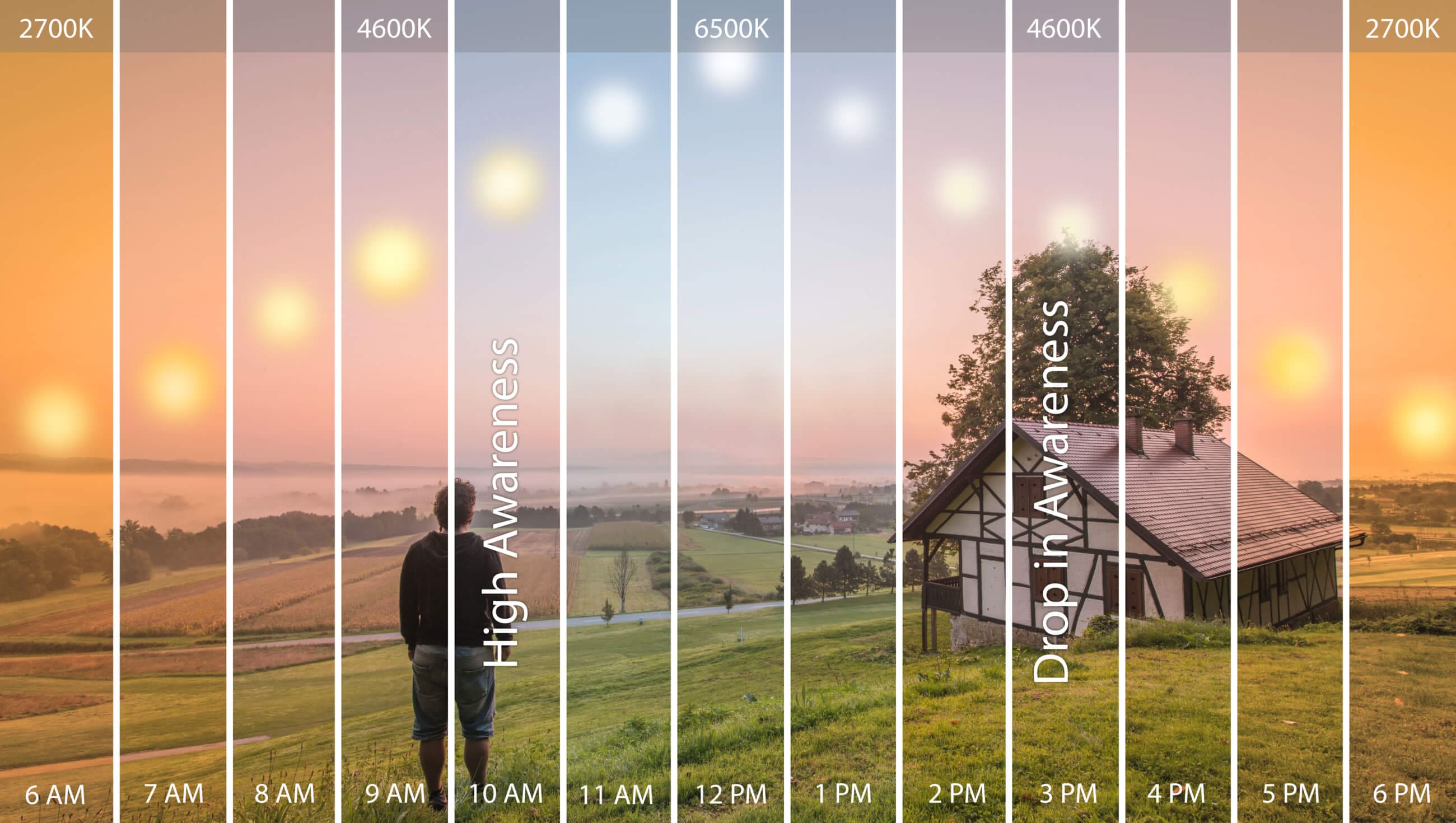 Circadian lighting effects