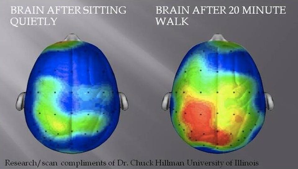 Your brain after sitting down for 20 minutes vs walking for 20