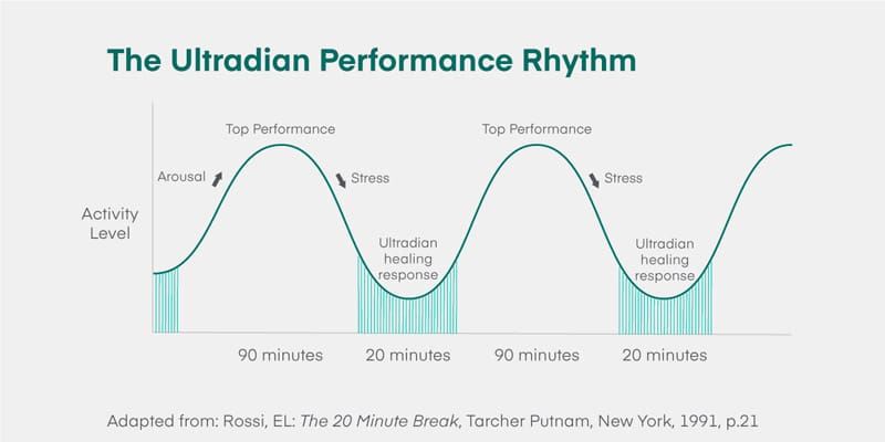 Circadian Rhythms and the Future of Work | AACSB