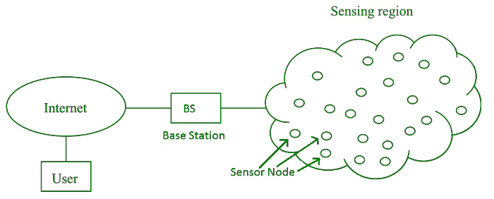 Wireless Sensor Network (WSN)