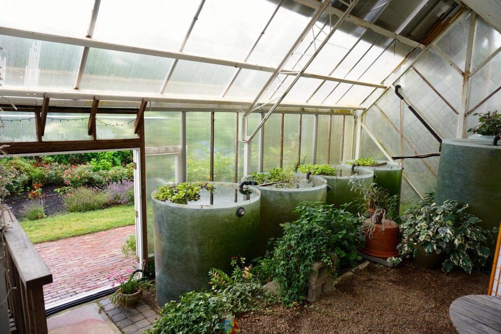 Thermal Mass Greenhouse: Using Water Barrels for Storage