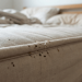 Close-up photo showing early signs and evidence of bed bugs on a mattress seam, illustrating how to tell if a mattress has bed bugs to identify an infestation before it spreads, as detailed by JiffyJunk.com.