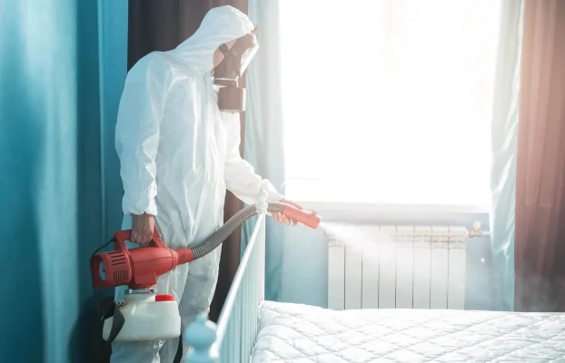 How Much Does Bed Bug Removal Cost? Treatment, Exterminator, and Furniture Removal Price with Affordable Options Explained