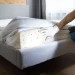 An image of bed bugs on a mattress being inspected during treatment to remove and eliminate a bed bug infestation.