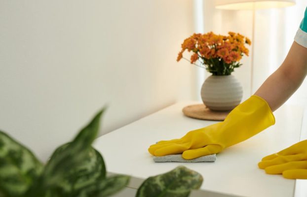 Spring Cleaning Checklist, Tips, and Guide: How to Deep Clean and Declutter Your House Room by Room